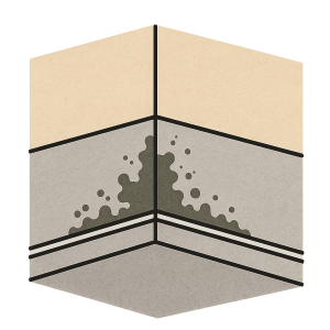 humidité et moisissure chambre illustration